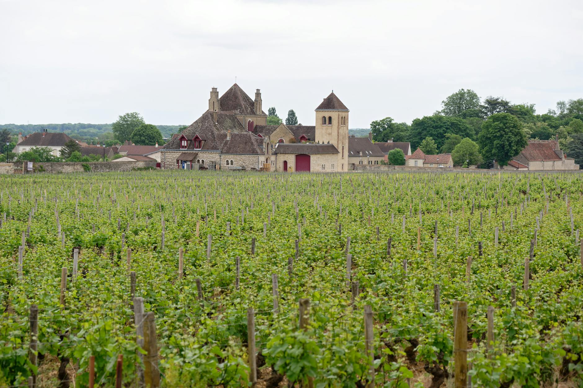 brown castle on green field