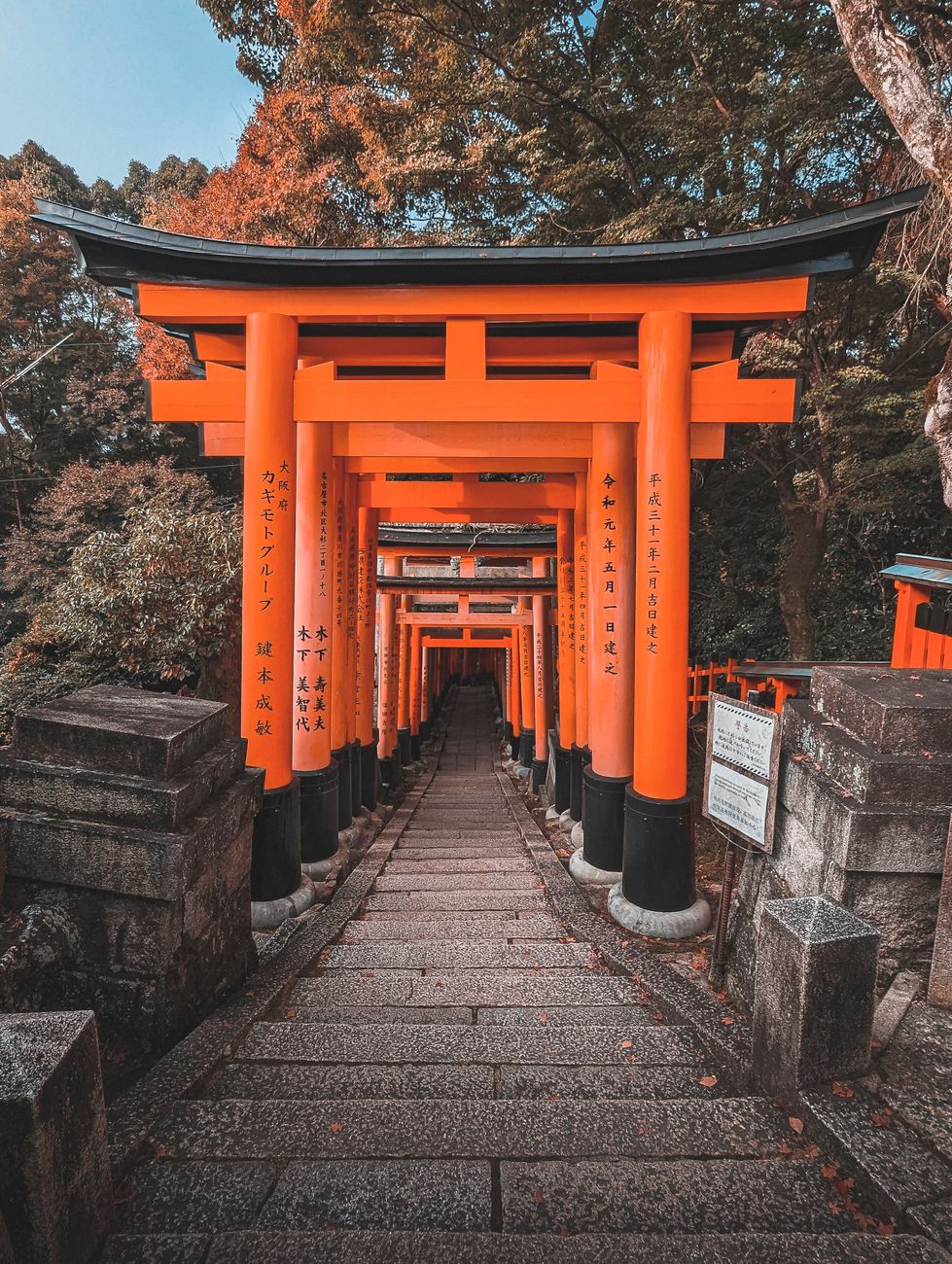 fushimi inari taisha shrine in japan